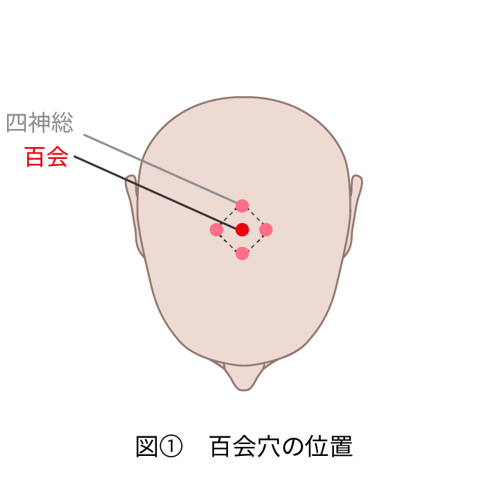 「記憶力アップ 百会」