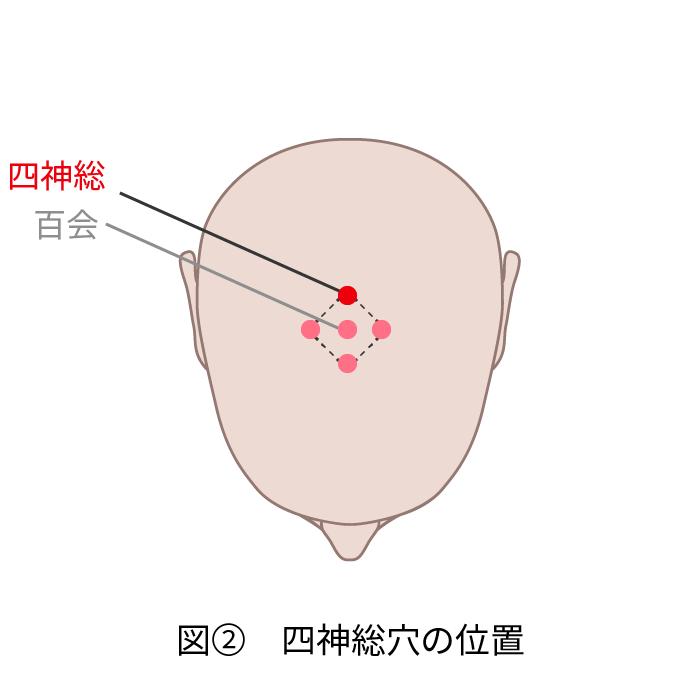 「記憶力アップ 四神総」