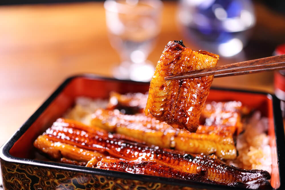 記憶力をアップする食べ物　うなぎ