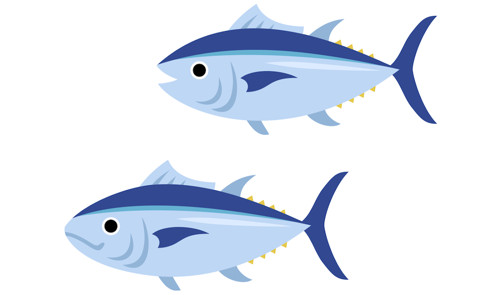 記憶力をアップさせる食べ物　栄養素　DHA　EPA