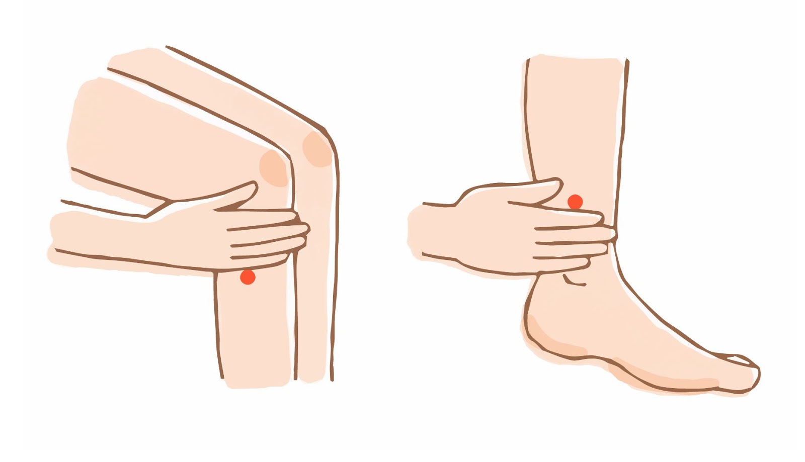 記憶力アップ　ツボを探そう