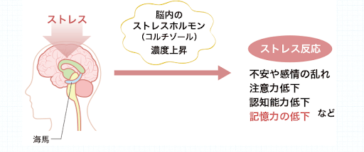 「記憶力低下」