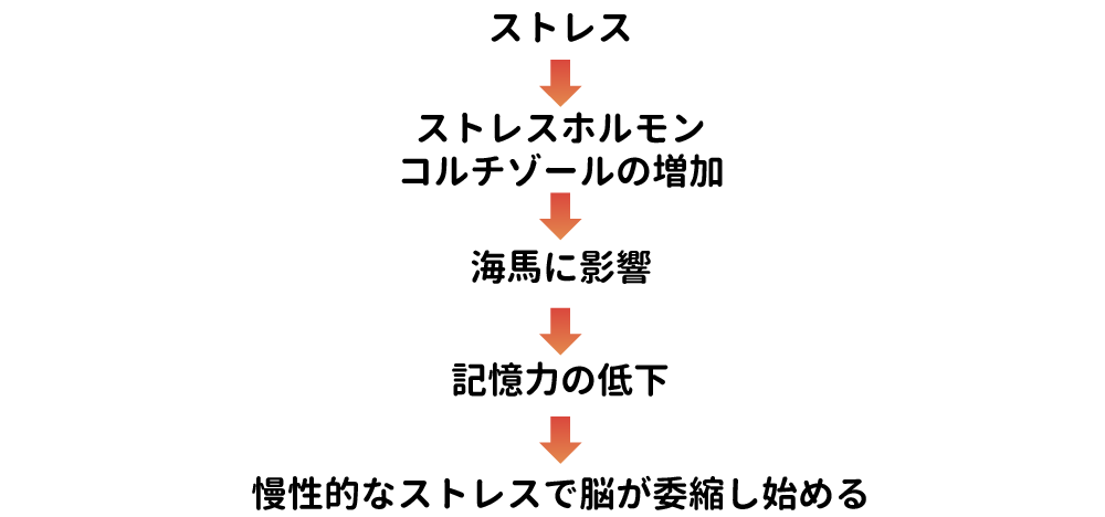 記憶力低下 ストレス