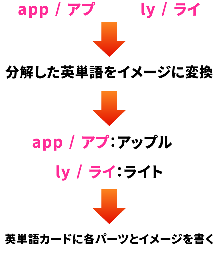 英単語を分解する覚え方